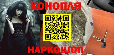 стаф Берёзовский