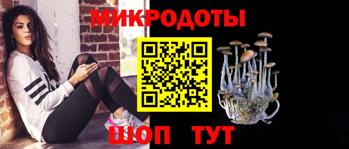 Псилоцибиновые грибы Psilocybine cubensis  Вход с VPN  Псилоцибиновые грибы ЛСД  Волгоград 