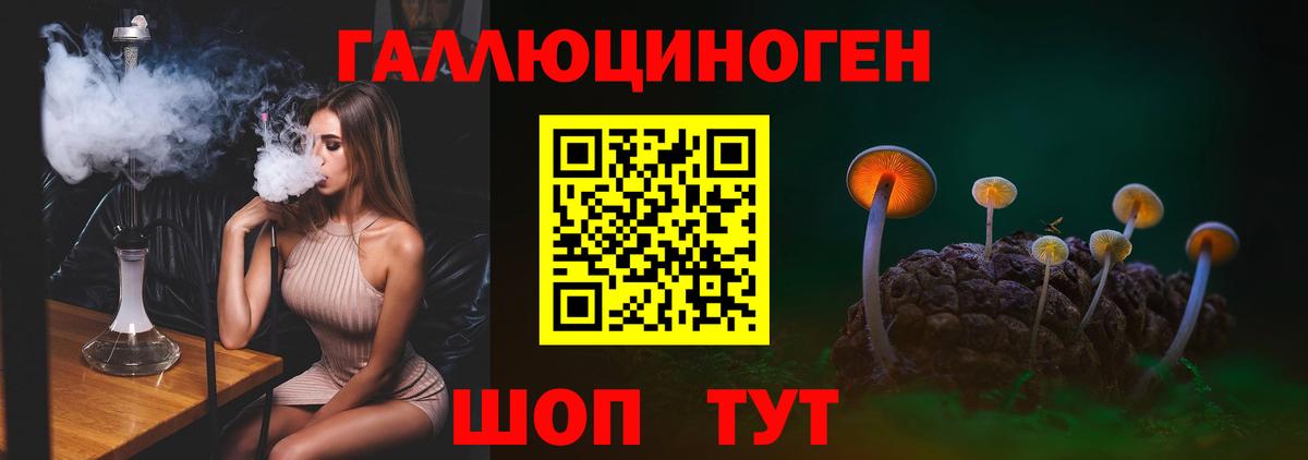 Галлюциногенные грибы Psilocybe  Волгоград 